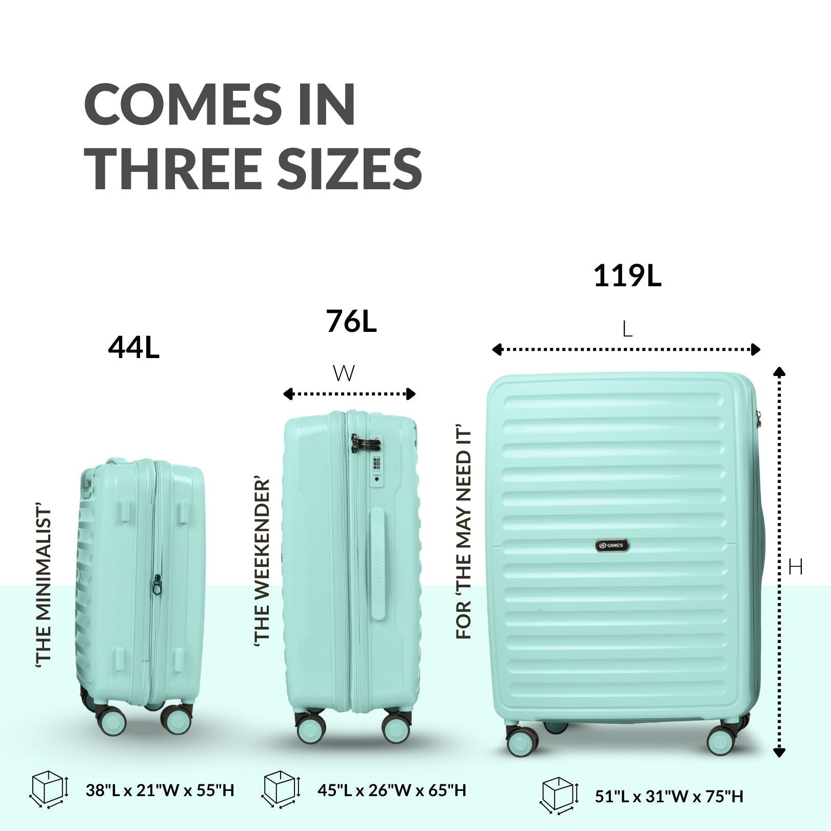 The StripeVault Luggage Series - Gang’s Lifestyle