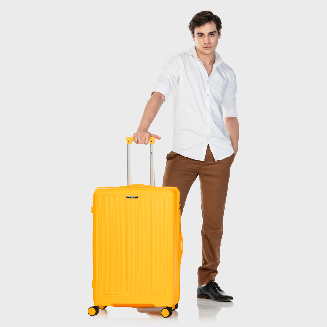 Achromatic Exquisite Backpack 25L Premium Gang’s Lifestyle Bag