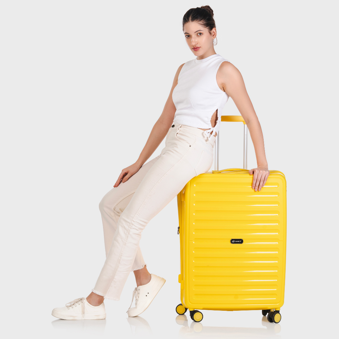 The StripeVault Luggage Series Gang’s Lifestyle