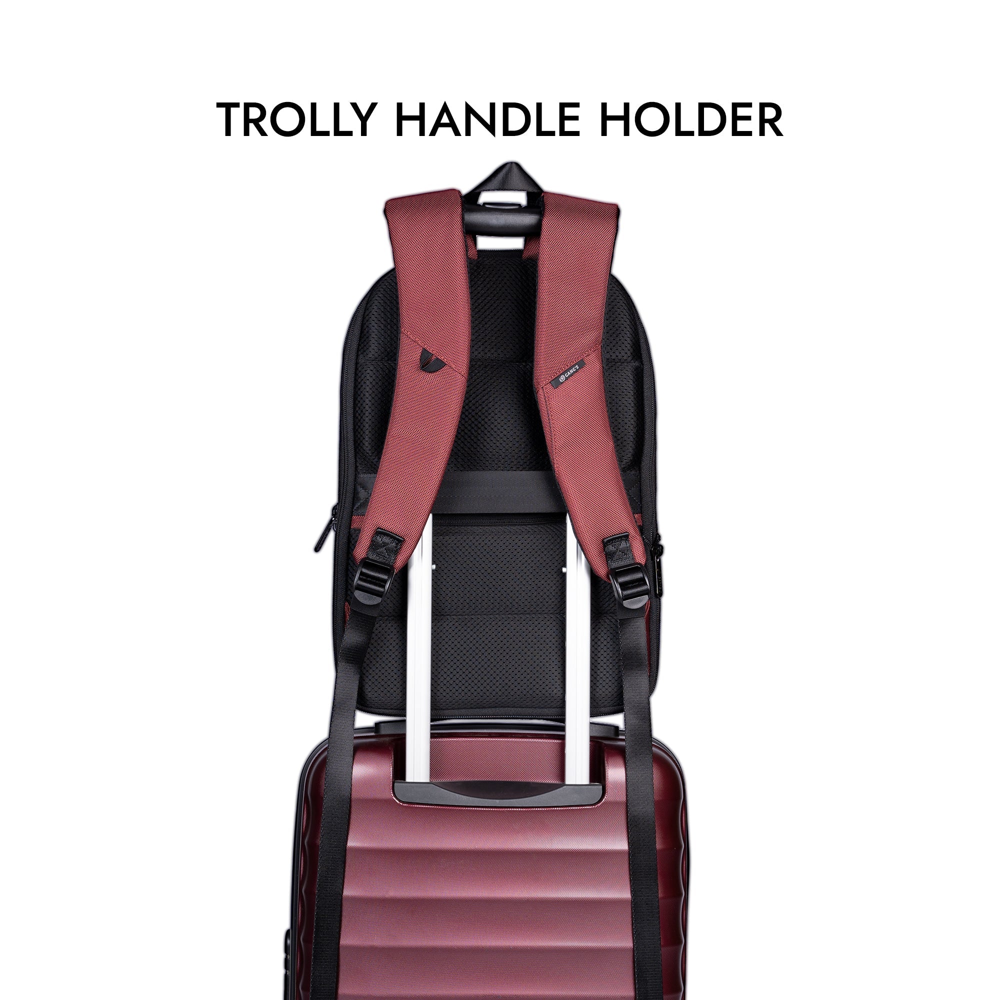 Crimson College/Travel Backpack - 19L - backpack