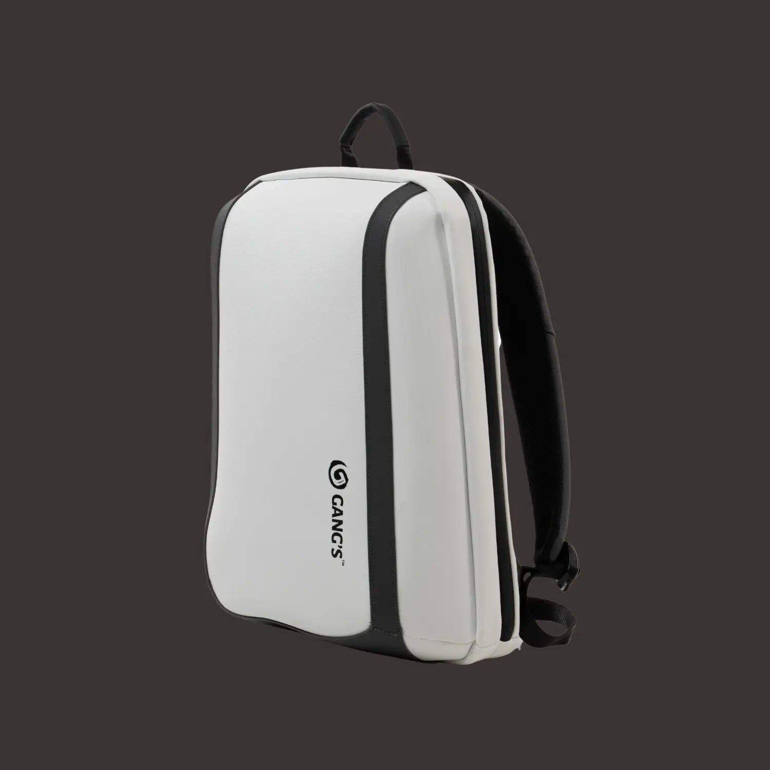 Splendid Office Backpack